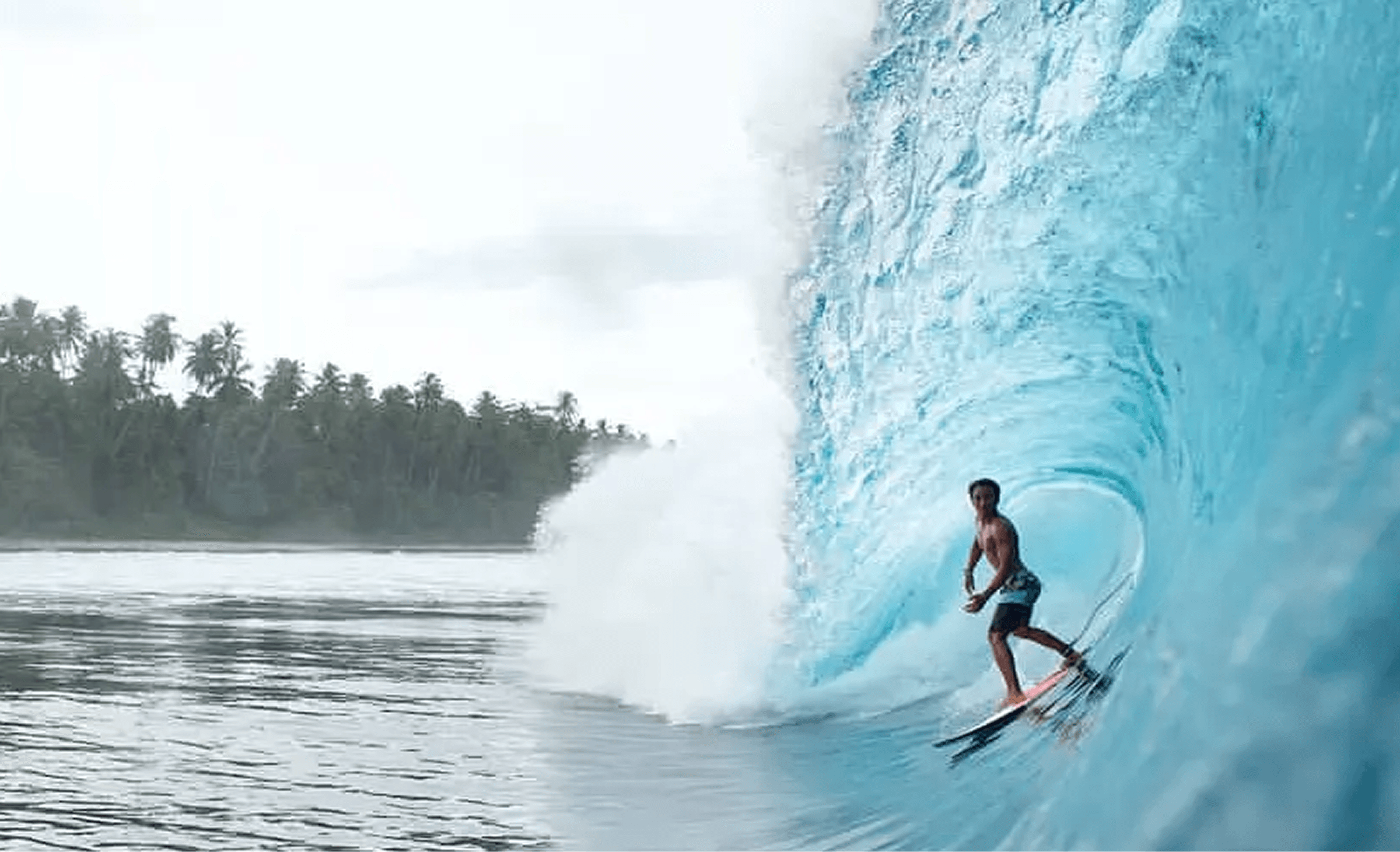 surf-player asian surf performance academy