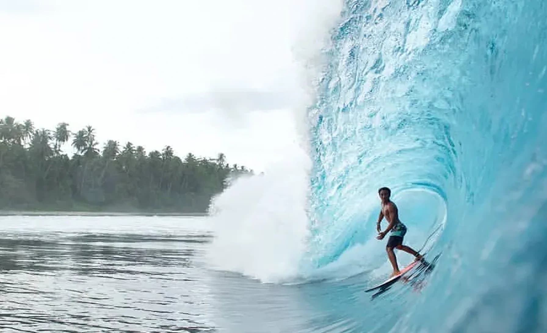 surf-player asian surf performance academy